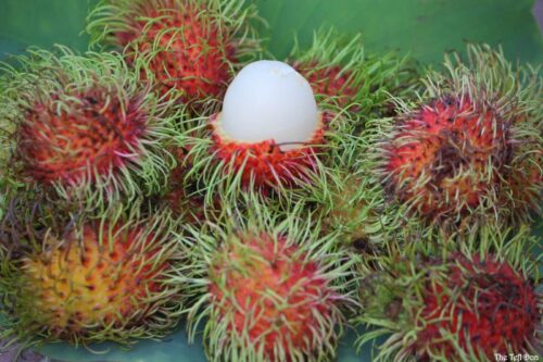 rambutan