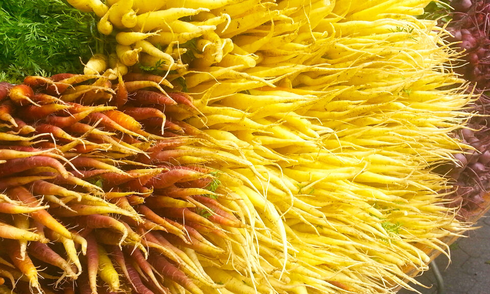 Carrots at Union Square Greenmarket