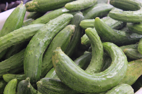 Cucumbers