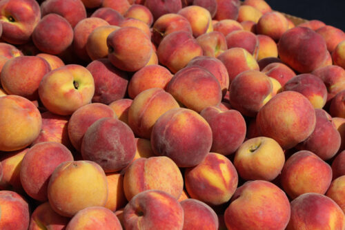 Peaches from Kernan Farms