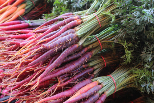 Purple Carrots from Paffenroth Gardens, Union Square Greenmarket