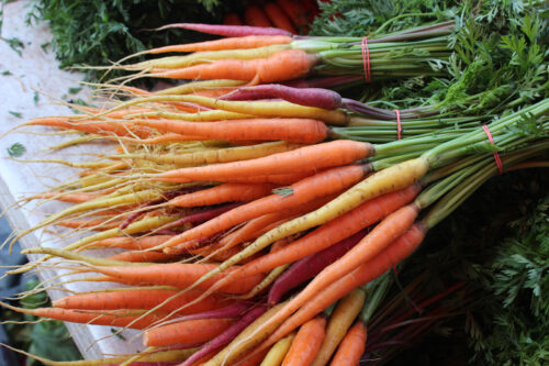 Rainbow Carrots from Paffenroth Gardens, Union Square Greenmarket