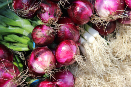 Red Onions
