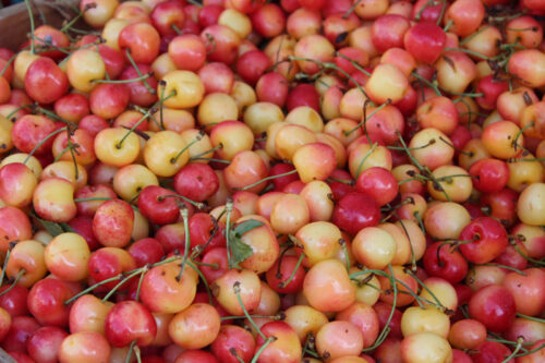 White Cherries
