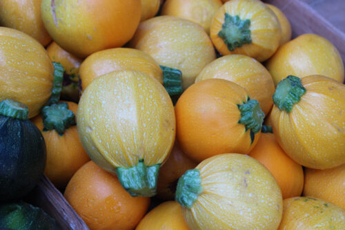 Zucchini from Keenan Farm