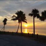 Battman, FMC Insanity Tour, 2017