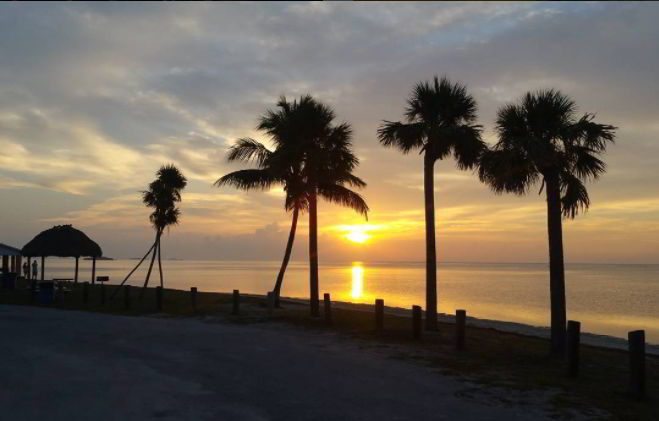 Battman, FMC Insanity Tour, 2017