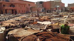Leather tanning in progress. Marrakesh. 2017