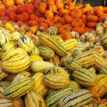 Pumpkins At The Union Square Greenmarkets